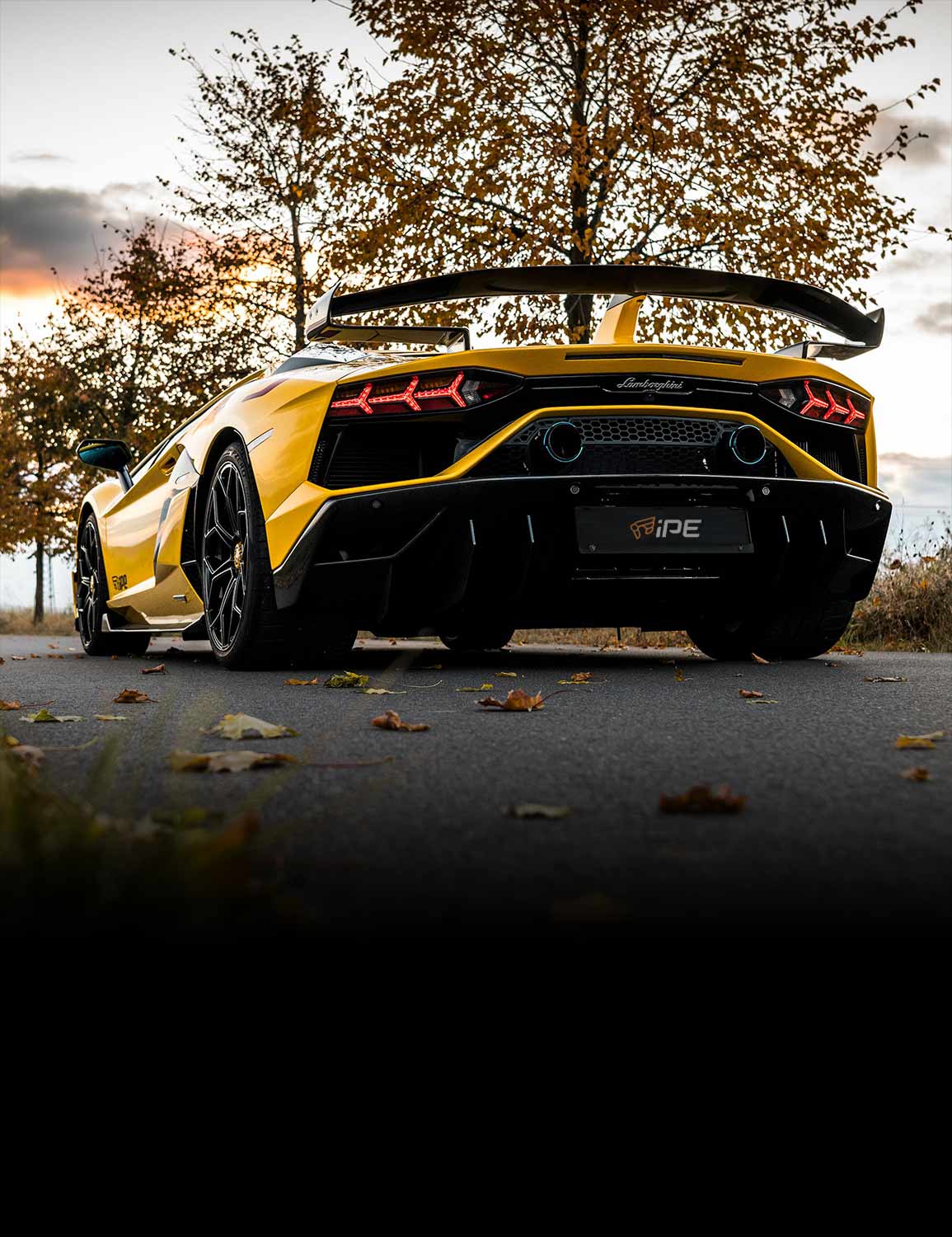 Lamborghini Aventador SVJ parking in a wild place