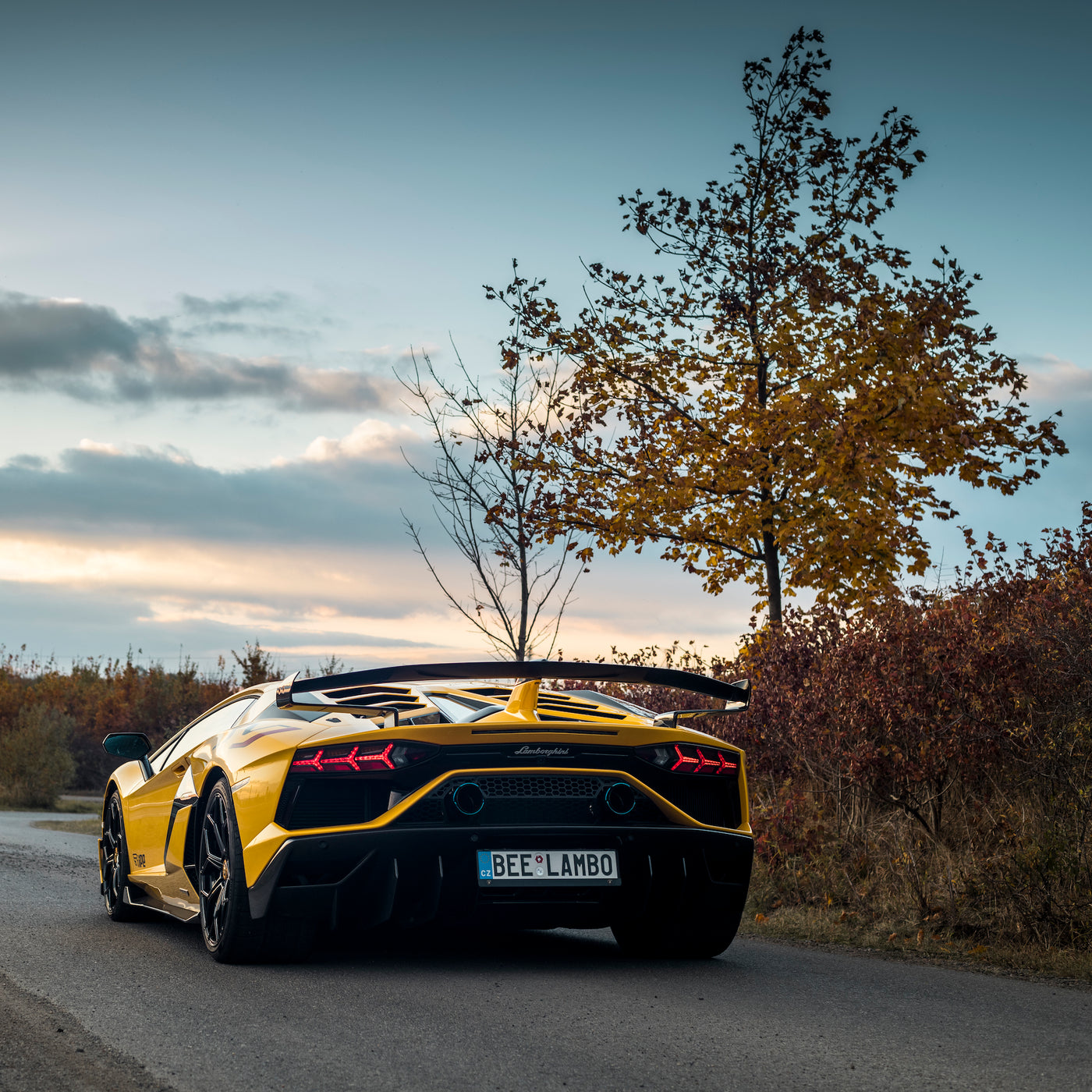 Lamborghini Aventador SVJ Exhaust System
