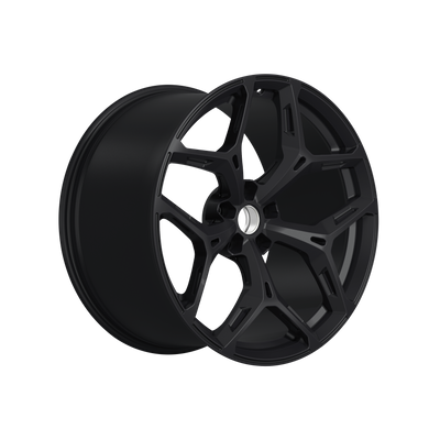 MFL-04 Magnesium Wheels